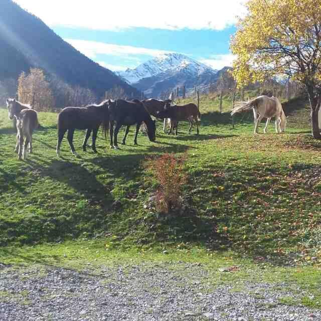 Les Chalets D'Aure. Aragnouet Buitenkant foto